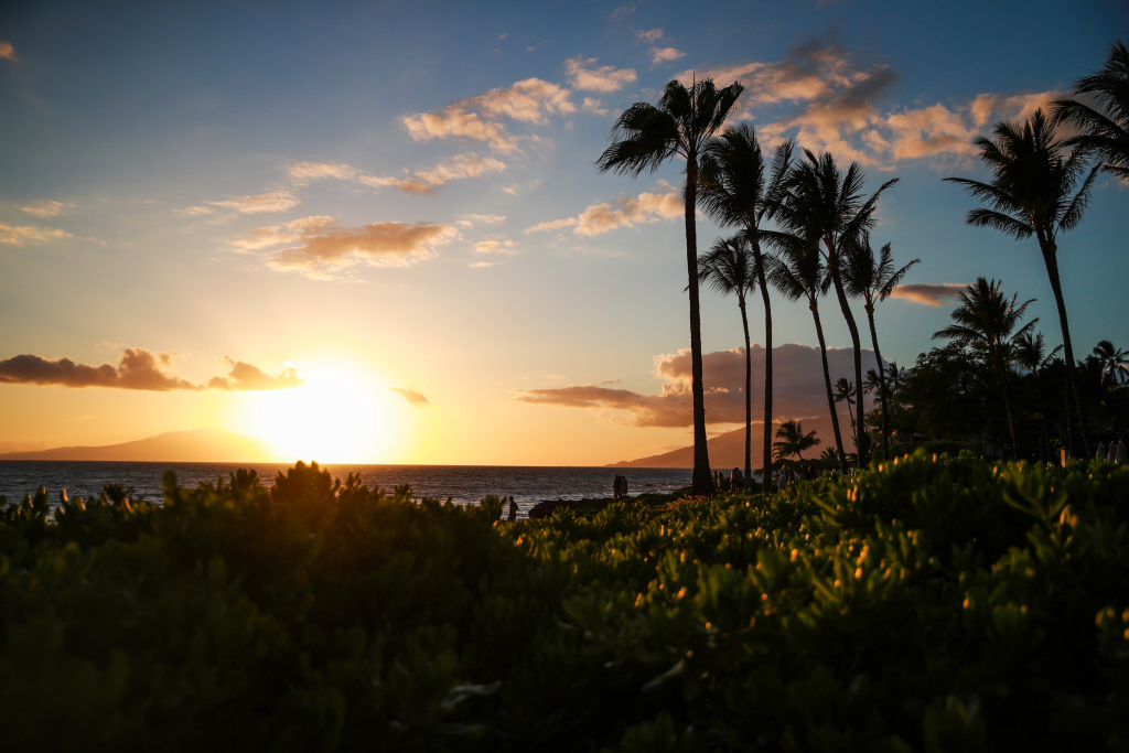 3 Hawaii residents fully vaccinated against Covid-19 are
infected with the coronavirus 1