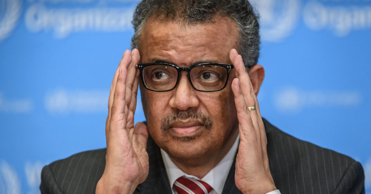 WHO chief: Team investigating coronavirus origins had
difficulties accessing data 1
