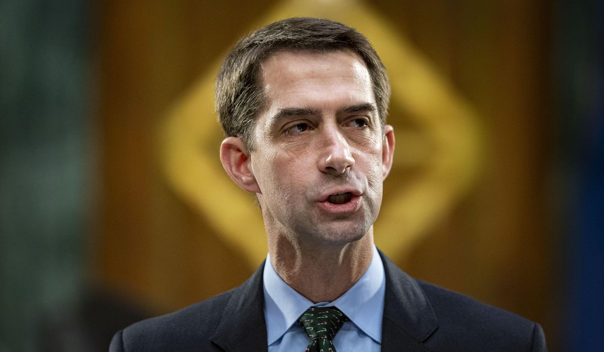 Sen. Tom Cotton insists 'the border is wide open' after
Mayorkas claims border is secure 1