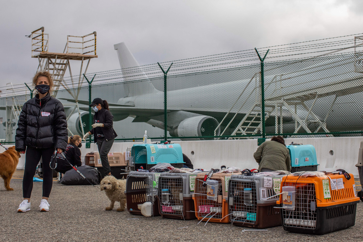 International dog-rescue group to open first US shelter in
Jersey City 1