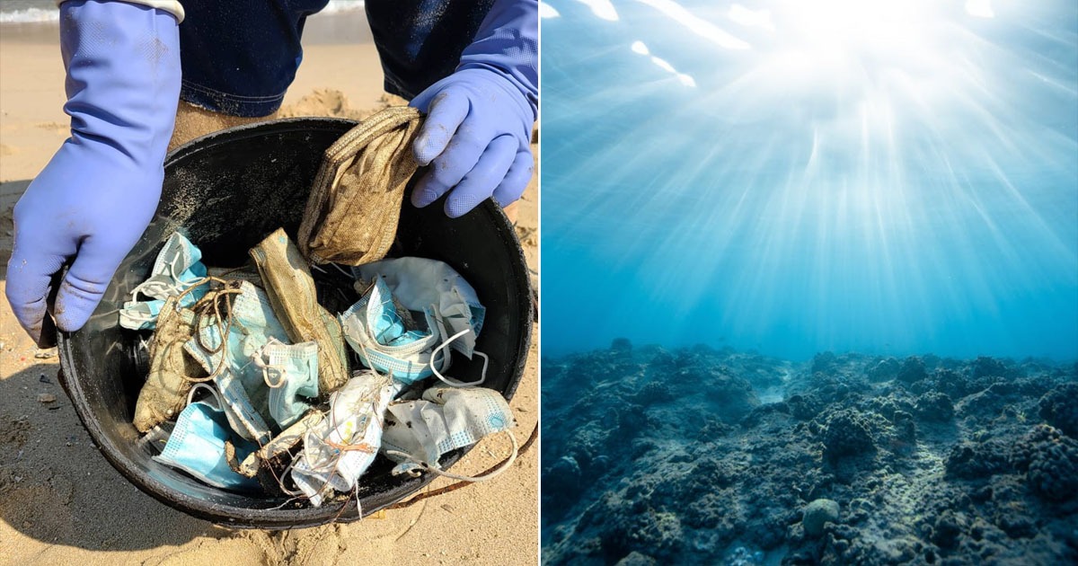 ‘More Masks Than Jellyfish’: Covid Mask Pollution Is
Destroying Ocean Ecosystems, Wildlife 1