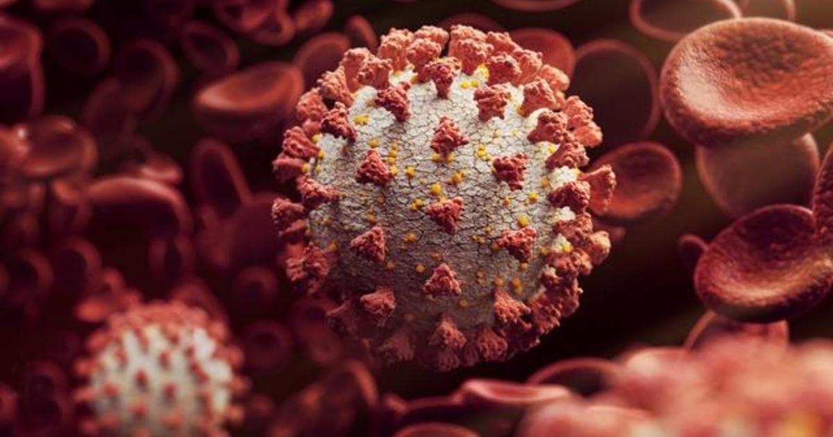 COVID-19 deaths will stall as coronavirus infections spike
across the U.S., CDC says 1