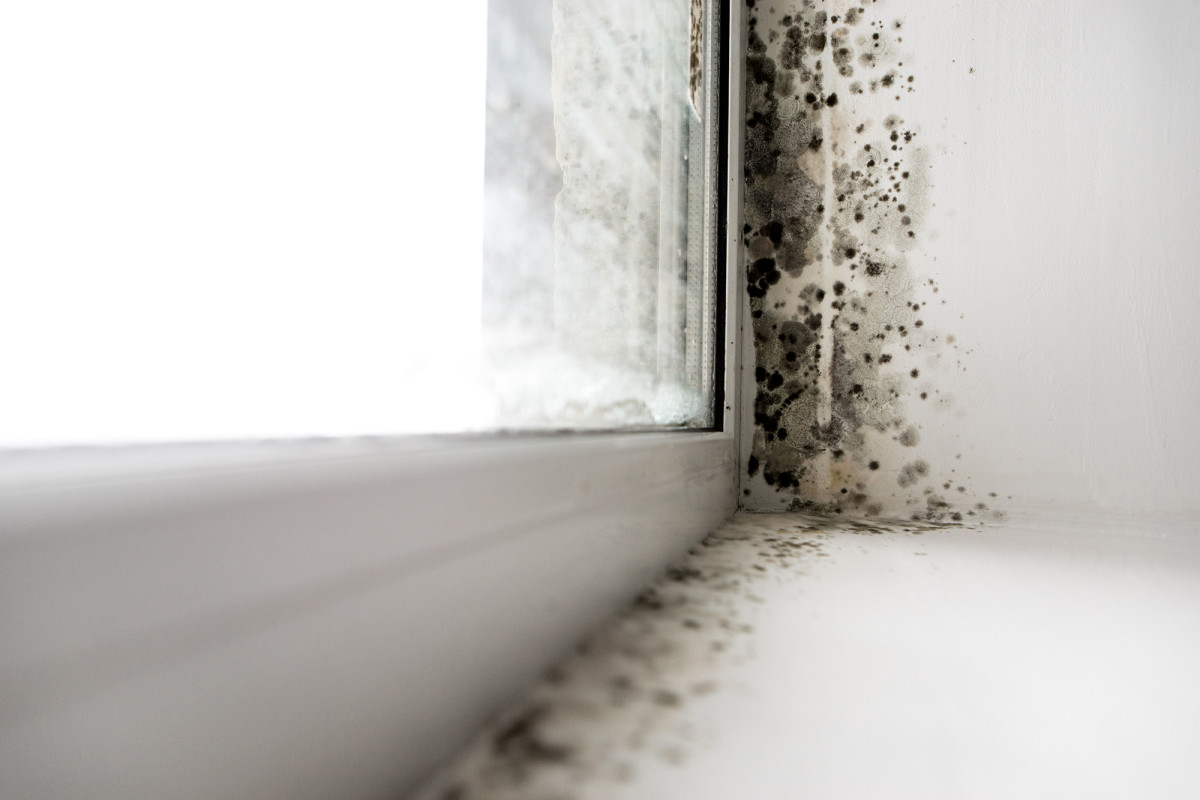 Sewage in bathtubs, more mold, stinky closet: Officers sue
landlord over Monterey housing 1