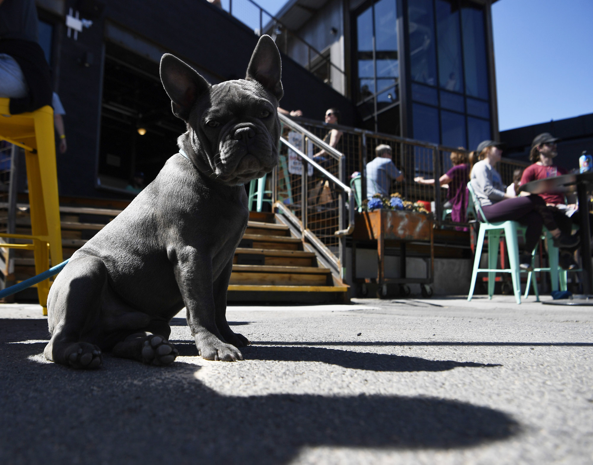 A sprawling new rooftop — or two — opens in time for patio
season 1