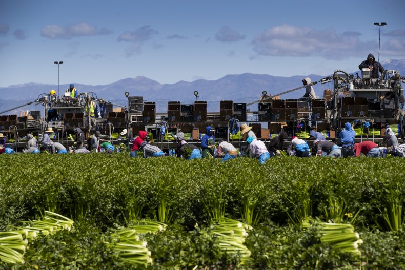 With COVID-19, Nearly Half of U.S. Farm Workers Are 'First
in Exposure, Last in Protection' 1