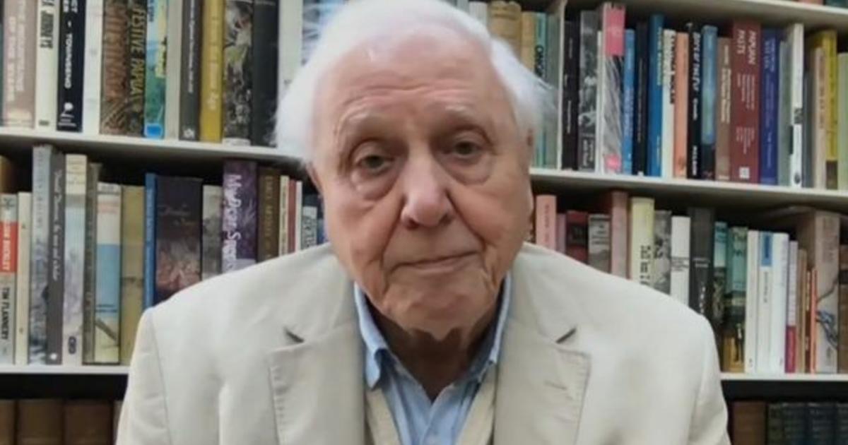 Sir David Attenborough's "The Year Earth Changed" explores
nature's rebound amid COVID lockdowns 1