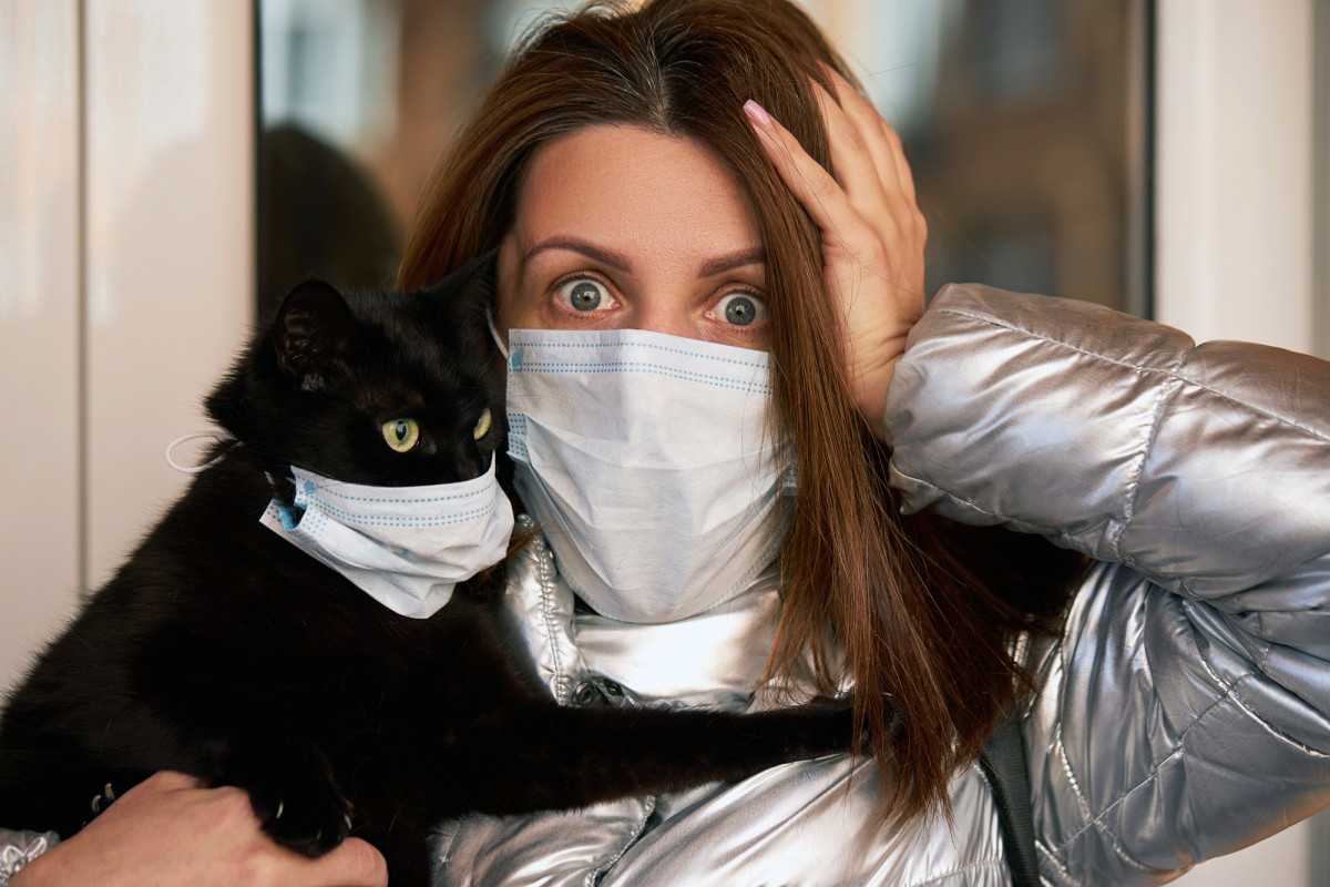 Humans can infect cats with COVID-19 — what that means for
variants 1