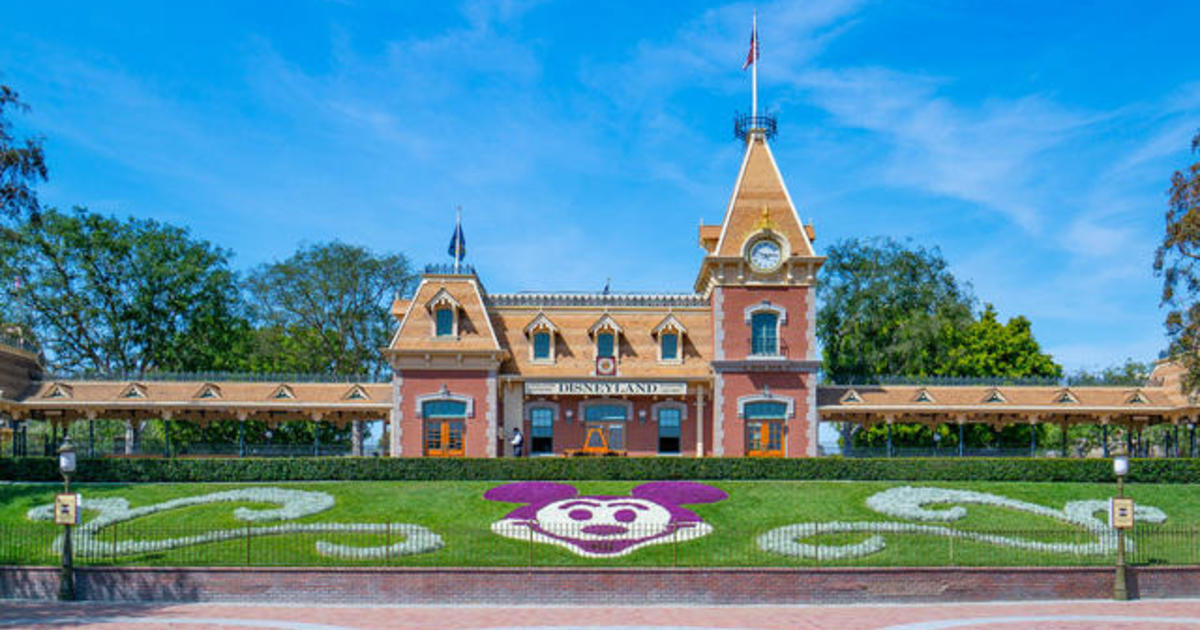Disneyland reopens and nearby small businesses rejoice as
customers return 1