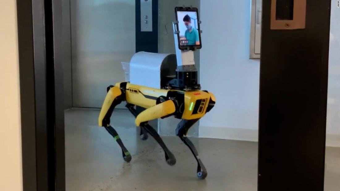 Robotic dog works wonders in ER in age of Covid-19 1