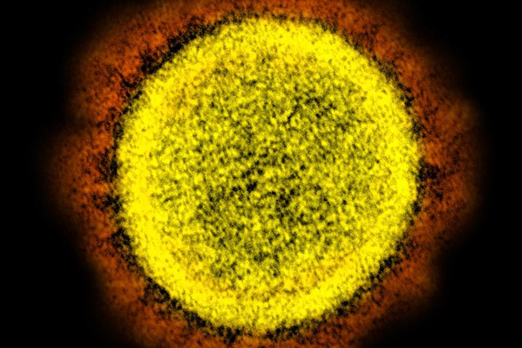 Carroll: Just the COVID-19 facts, please, without the
kettledrums 1