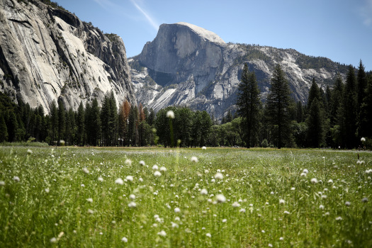 Yosemite National Park to limit summer visitation due to
COVID-19 1