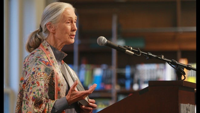 Jane Goodall Q&A: How did our relationship with the
environment lead to COVID-19? How do you maintain optimism for the
future? 1