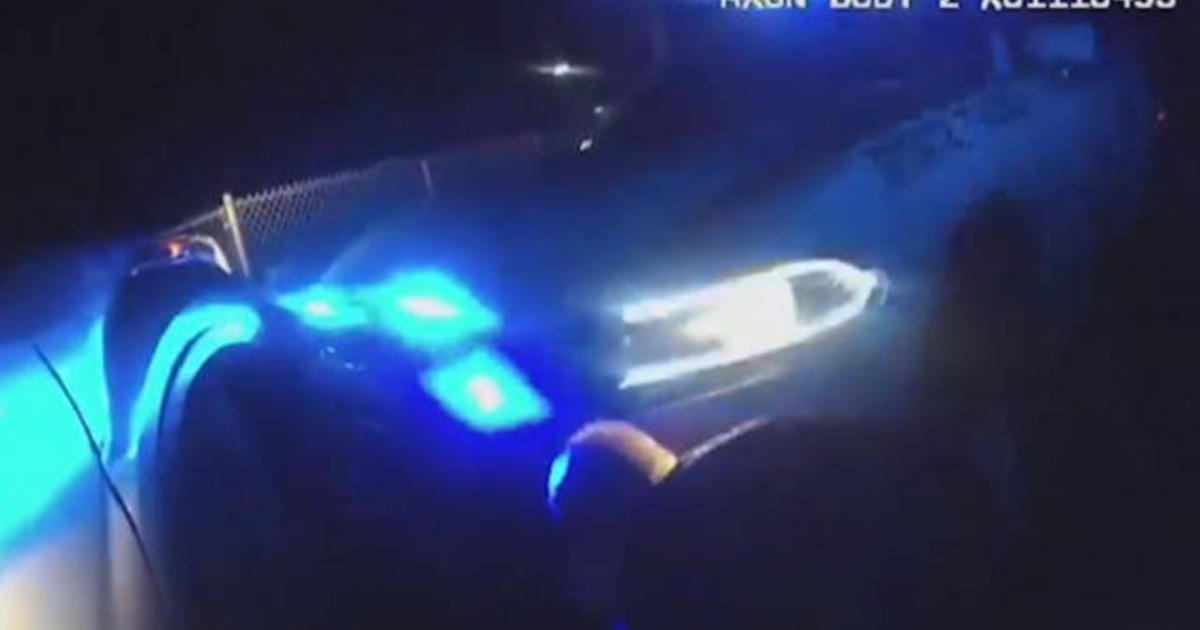 Louisiana officers seen punching and tasing Black man before
death 1