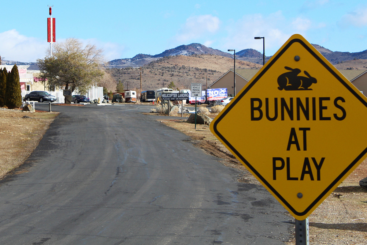 Nevada allows brothels to reopen after a year, with new
protection in place 1