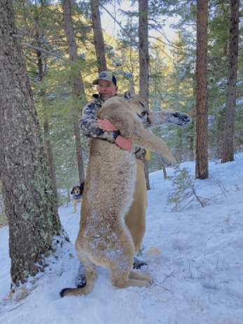 Suspect in U.S. Capitol riot faces house arrest after
killing mountain lion 1