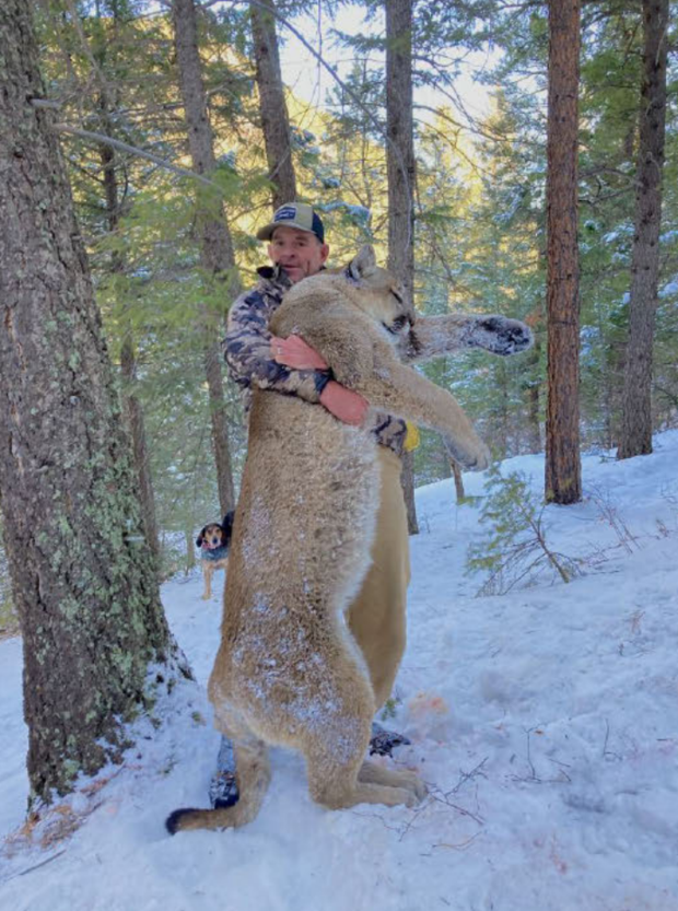 Alleged Capitol rioter banned from guns shoots mountain
lion 1