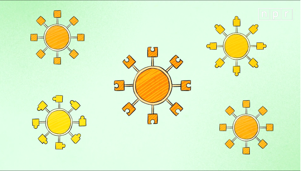 Visual Explainer: Why Some Coronavirus Variants Are More
Contagious Than Others 1