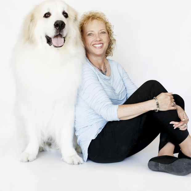 6 ways to help your dog deal with being alone all day as the
coronavirus pandemic wanes 1