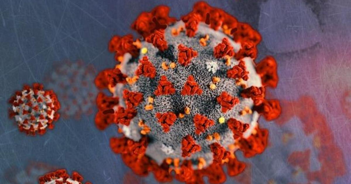 U.S. coronavirus cases and deaths plummet as officials push
for vaccinations 1