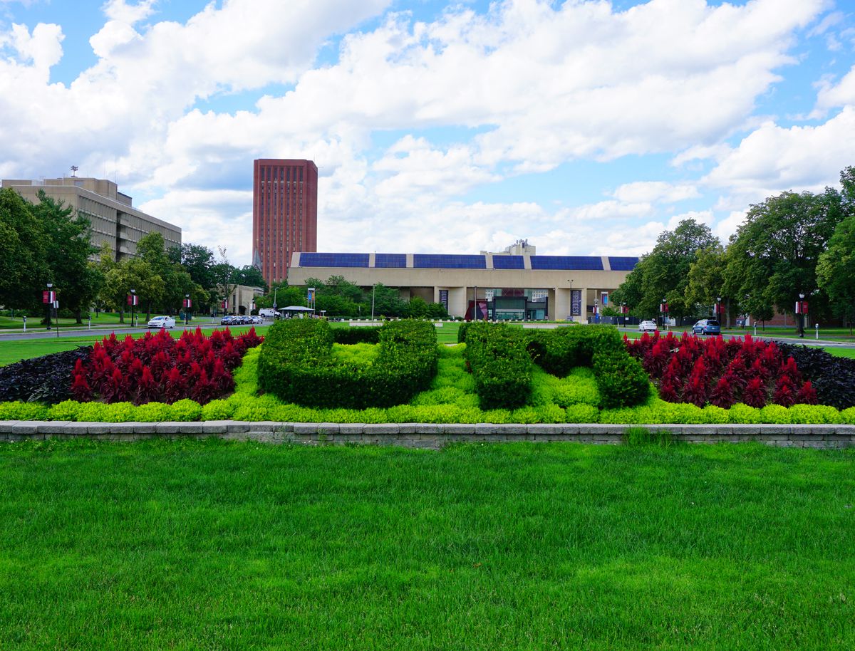 UMass students suspended over photo that shows them without
masks fighting back against punishment 1 UMass students suspended over photo that shows them without
masks fighting back against punishment 1