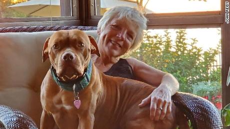 Covid-19 pandemic magnifies workforce crisis in veterinary
field 1