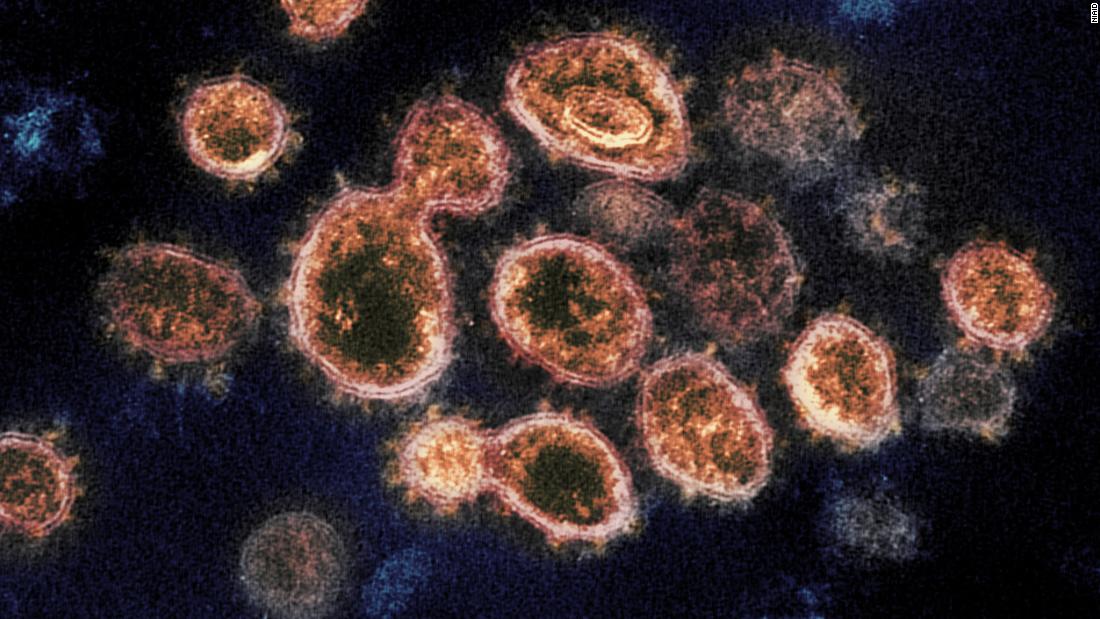 East Asia was hit by another coronavirus epidemic 20,000
years ago, new study shows 1