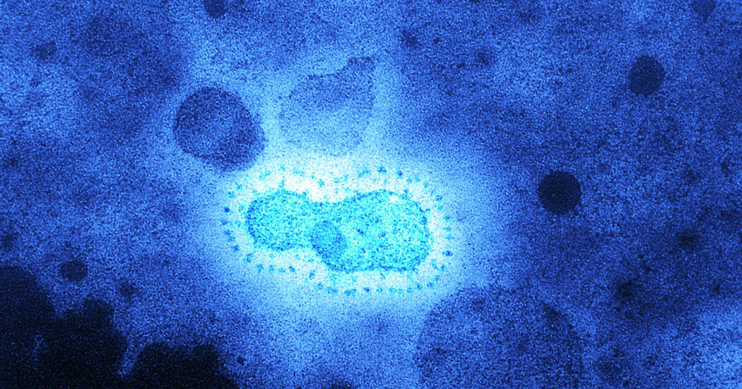 A Coronavirus Epidemic Hit 20,000 Years Ago, New Study
Finds 1