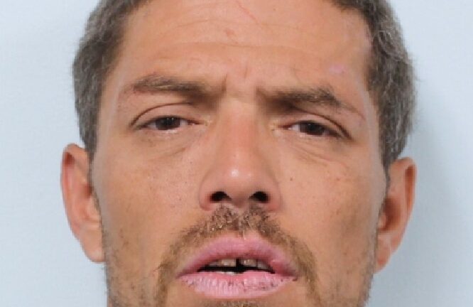 Springfield police arrest armed man who allegedly pointed
gun at officers and bystanders 1