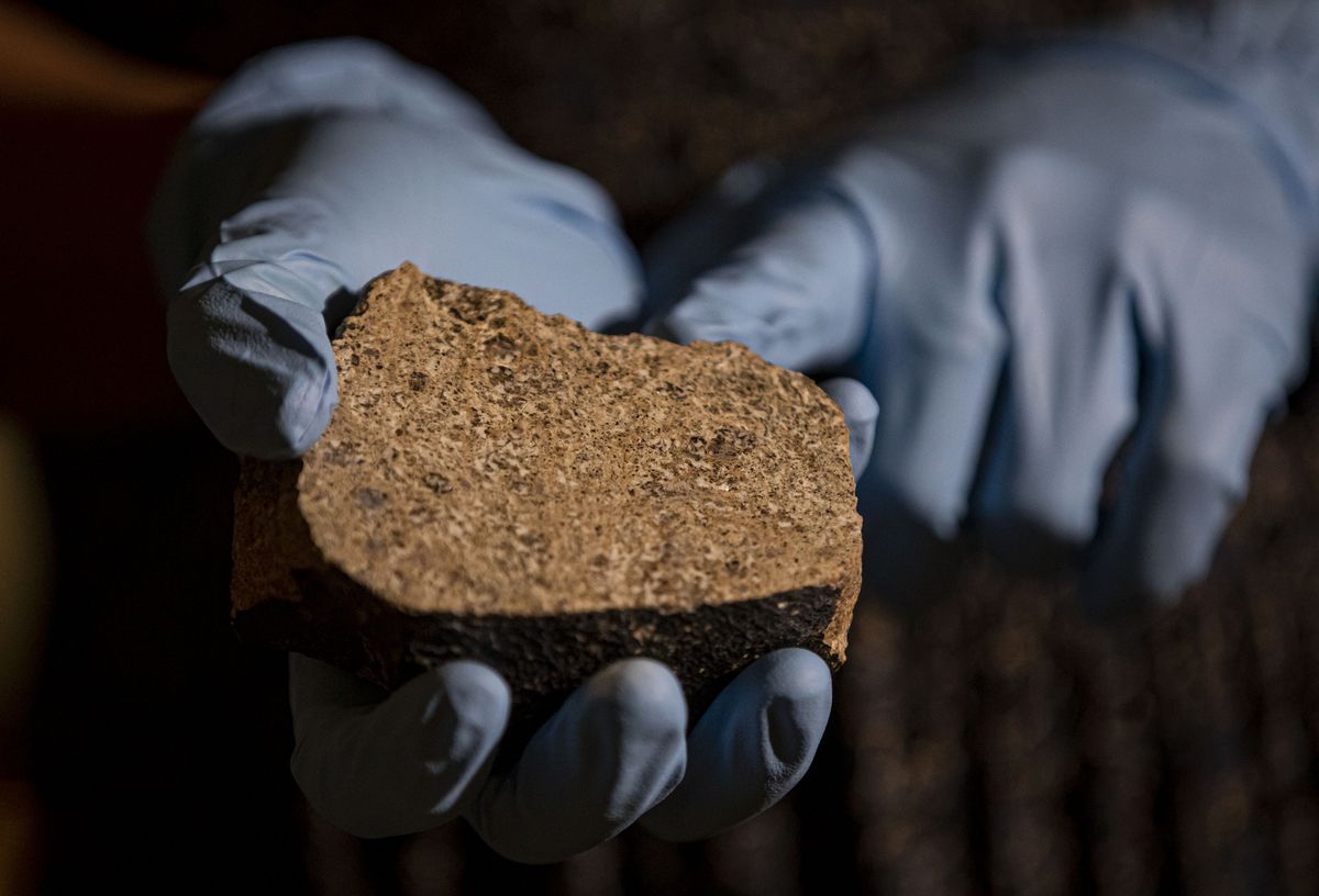 Asteroid Day is a celebratory one for the Field Museum,
whose scientists just classified a rare meteorite 1 Asteroid Day is a celebratory one for the Field Museum,
whose scientists just classified a rare meteorite 1
