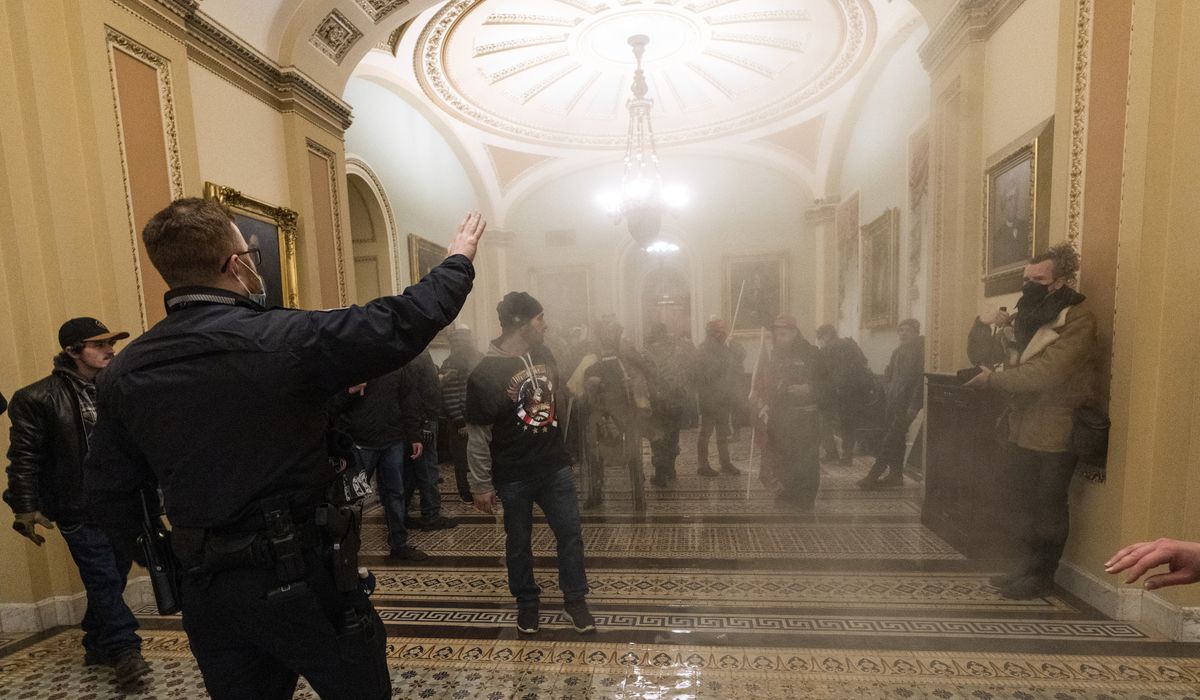 Paul Hodgkins reaches deal with prosecutors in Capitol riot
case 1