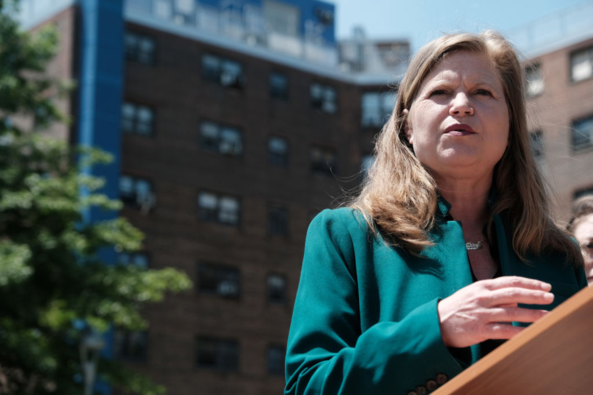 A charter school comeback? Top NYC candidates support the
alternative schools 1