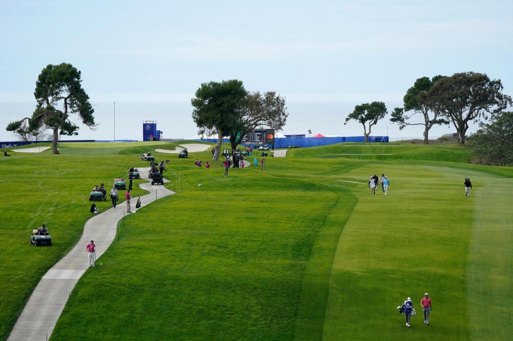 No Tiger in return to Torrey, no telling what might happen
in this year’s U.S. Open 1