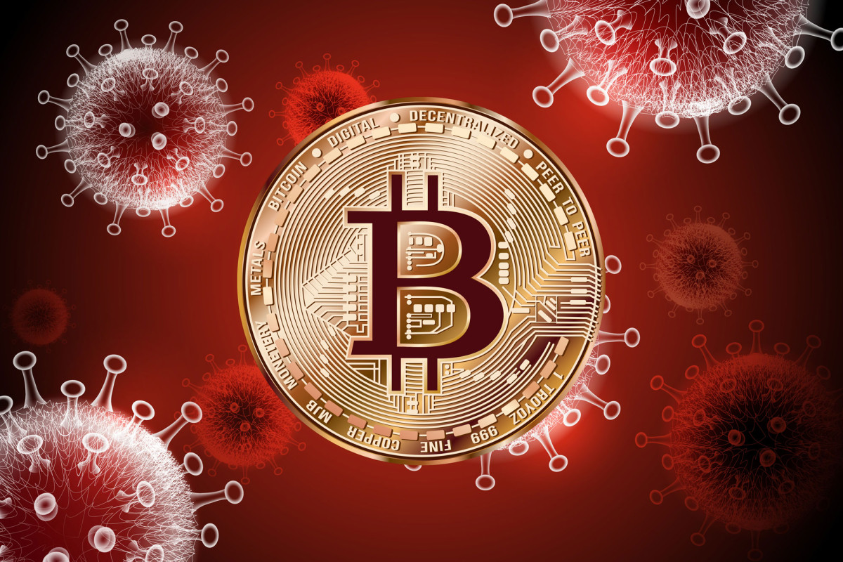 Techies battling COVID-19 following Miami Bitcoin
conference 1