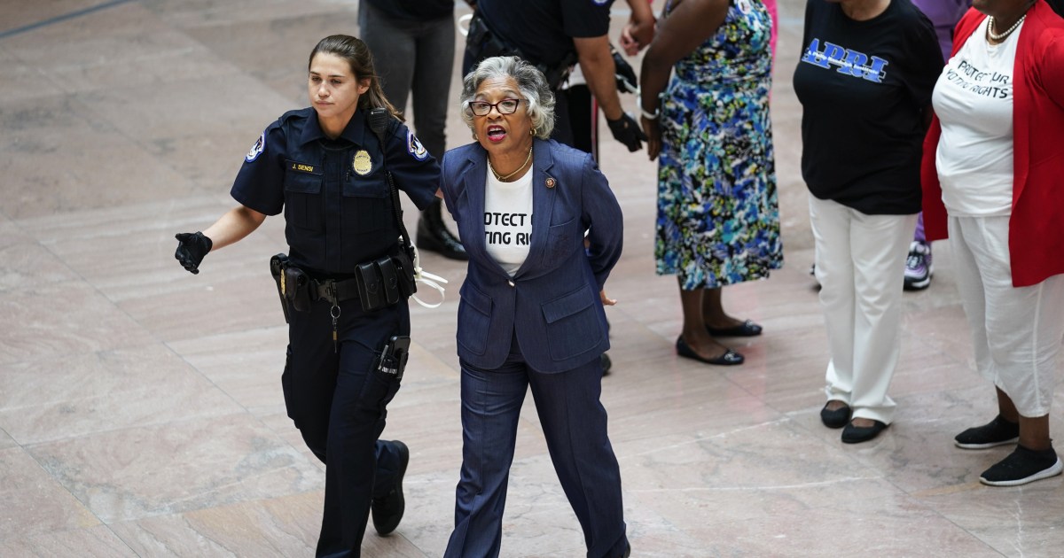 Democratic congresswoman among 9 arrested in voting rights
protest 1