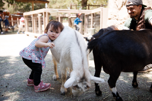 Photos: Happy Hollow Park & Zoo reopens its rides
and more zoo areas 1