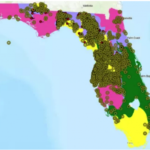 Why Are Hundreds Of Giant Sinkholes Suddenly Opening Up All
Over The Planet? 2