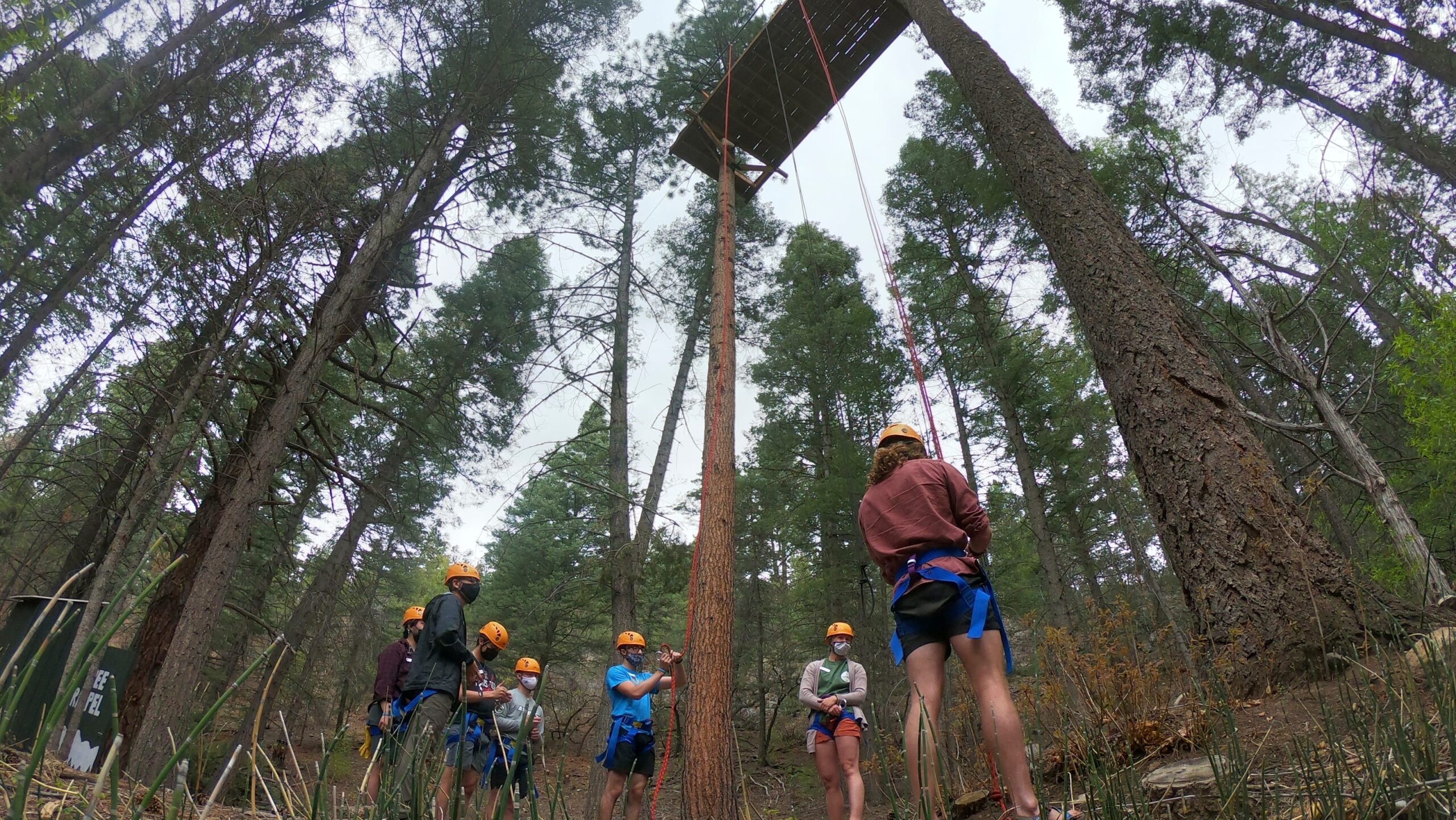 Texas church's summer camp ends with 125 kids testing
positive for COVID-19 1