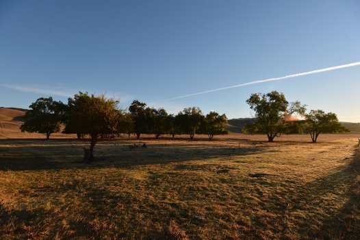 Contra Costa County sued over controversial open-space
housing plan 1