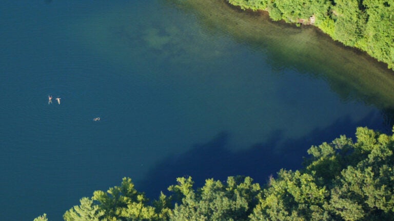 Backlash follows after state bans open water swimming at
Walden Pond 1