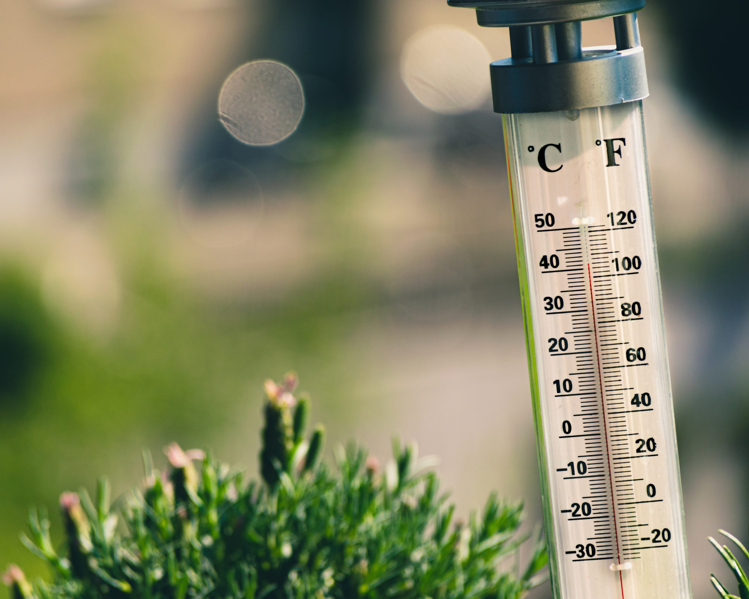 Daily Digest 7/12 — Record Setting ‘Heat Dome’ Could Keep
West Sizzling All Week as Wildfires Burn; Hundreds of Thai Health
Workers Who Received Sinovac Shots Infected With COVID-19… 1