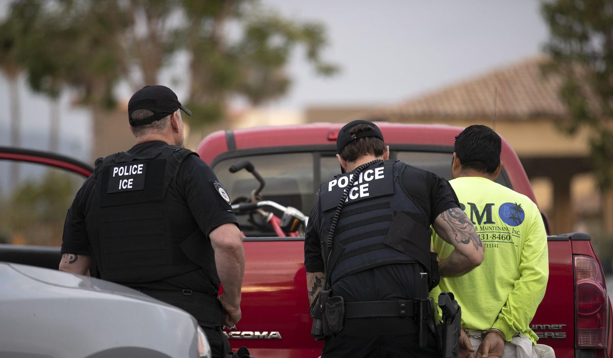 ICE officers blast Joe Biden's pick to lead agency, say
confirmation vote is premature 1