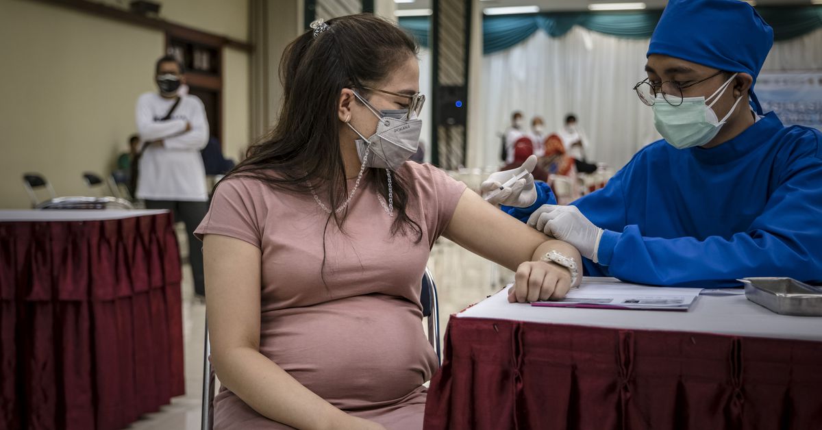 Pregnant or worried about infertility? Get vaccinated
against COVID-19 1 Pregnant or worried about infertility? Get vaccinated
against COVID-19 1