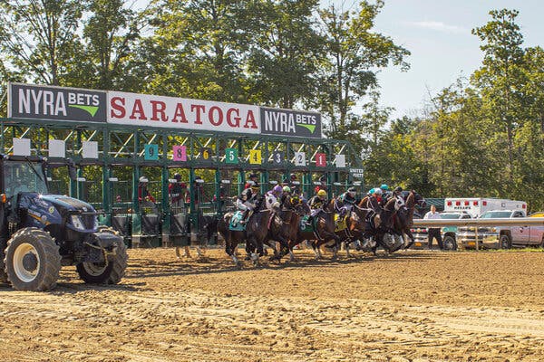 Saratoga Opens to Fans Hungry for a Racing Tradition 1