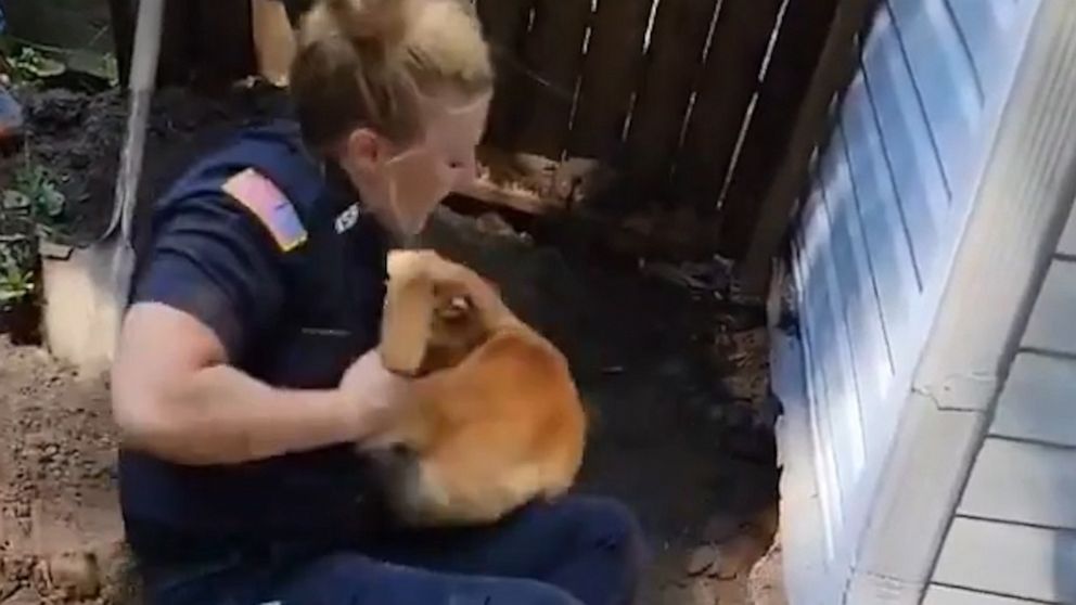 WATCH: Police officers rescue dog trapped under
house 1