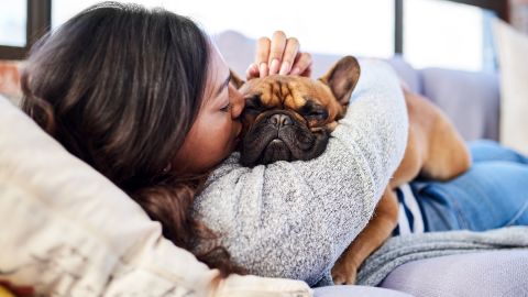 Going back to the office? Here's how to prepare your pet,
according to vets 1