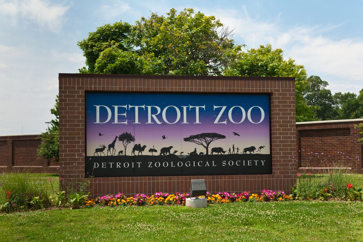 Detroit Zoo begins distributing COVID-19 vaccines for
various animals 1 Detroit Zoo begins distributing COVID-19 vaccines for
various animals 1