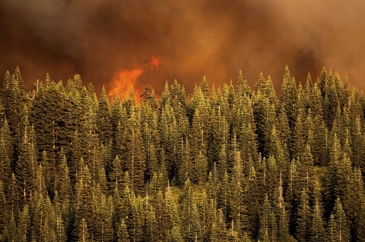 Wildfire smoke linked to spike in COVID-19 cases,
researchers say 1 Wildfire smoke linked to spike in COVID-19 cases,
researchers say 1