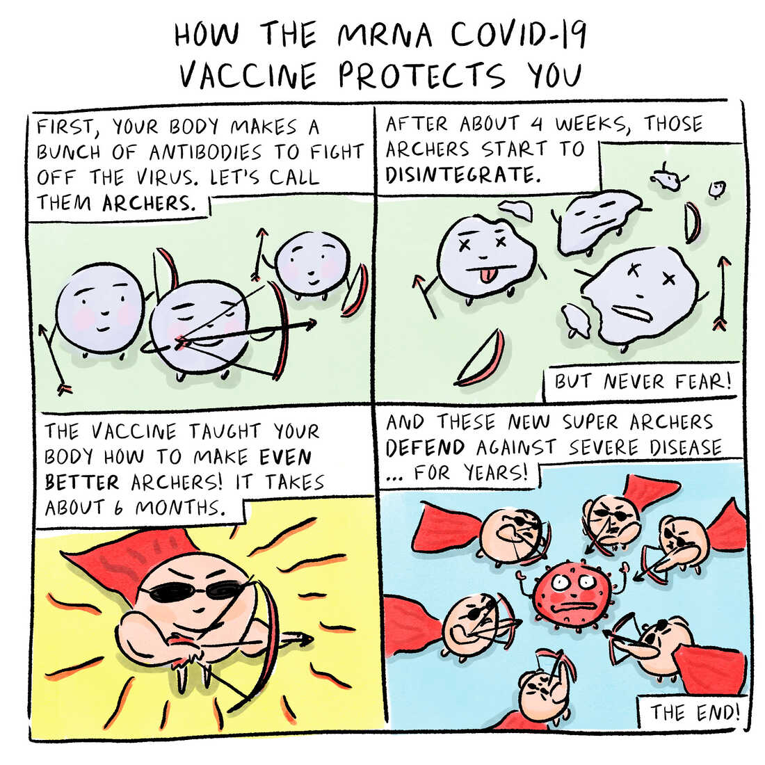 Immunity To COVID-19 Could Last Longer Than You'd
Think 1
