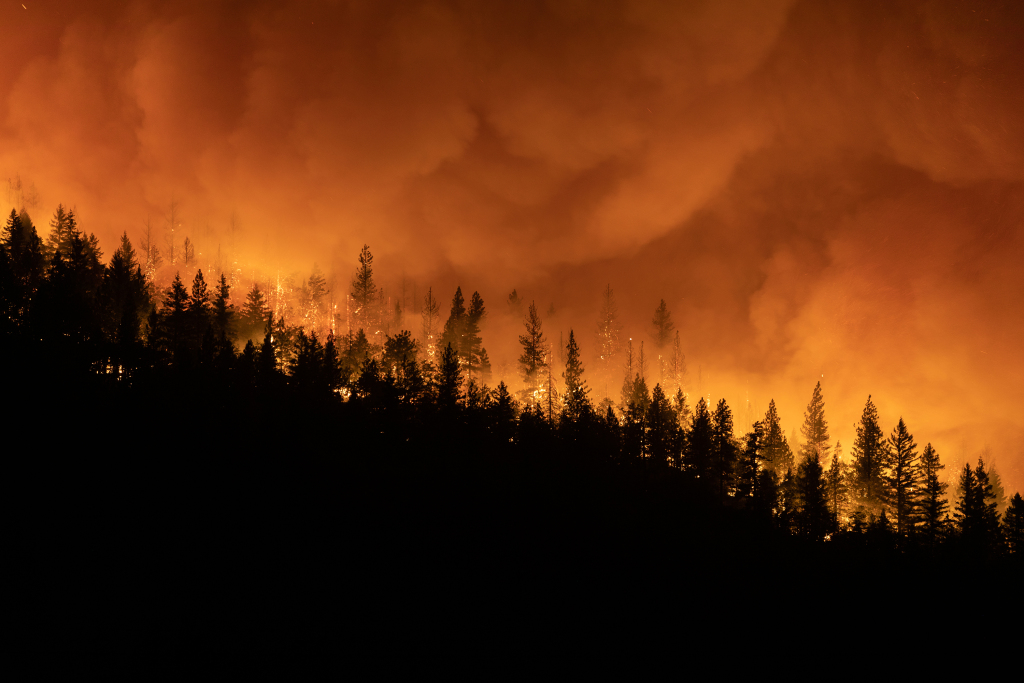 Letters: Fire policy | Water allowances | Patriotic protests
| Filibuster needed | Foreign aid | Tamping down anger 1