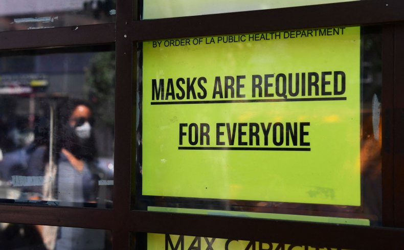 Federal Courts Impose Mask Mandates While Some Hear
Arguments They Are Unconstitutional 1